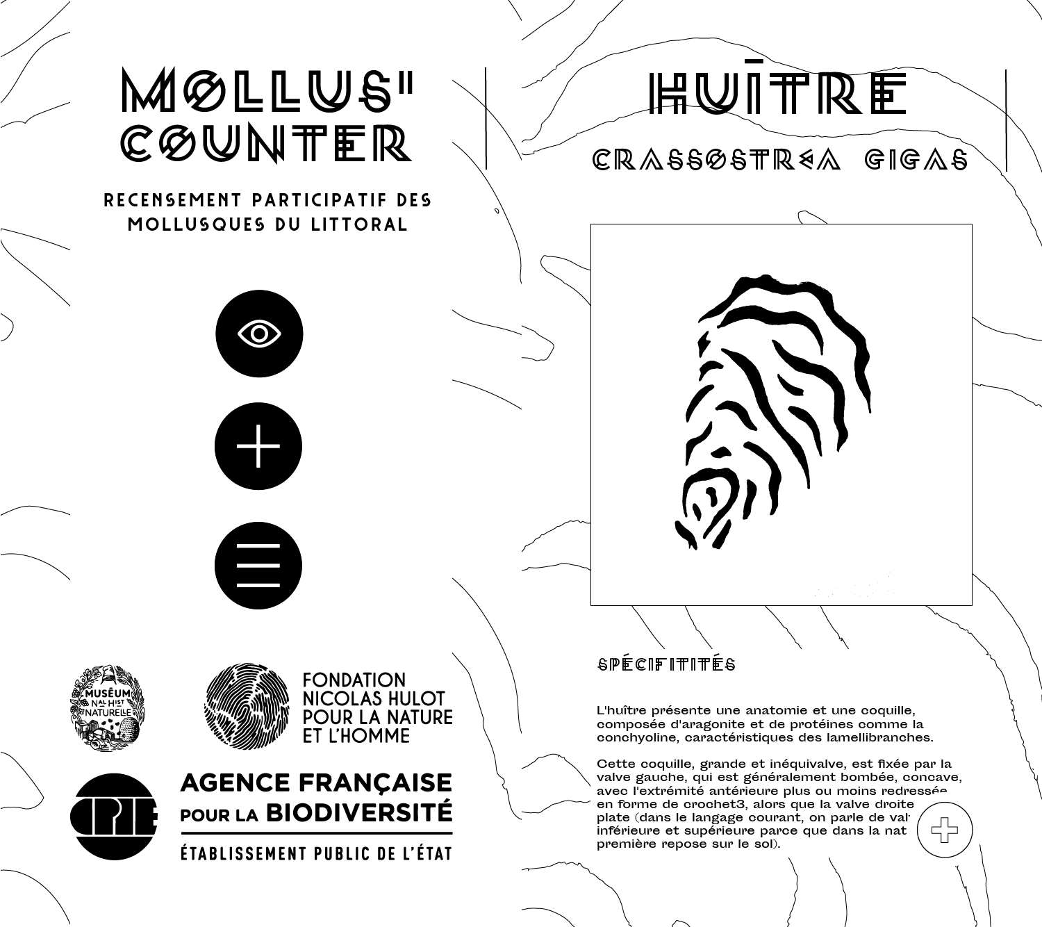 Interfaces de l'application.