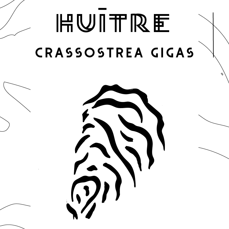 Miniature du projet Mollus'Counter